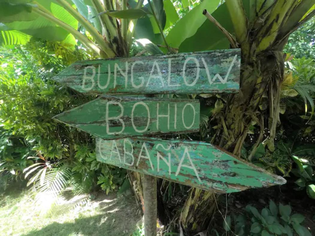 Dream Glamping Jungle Bohio Otel Las Terrenas Dış mekan fotoğraf