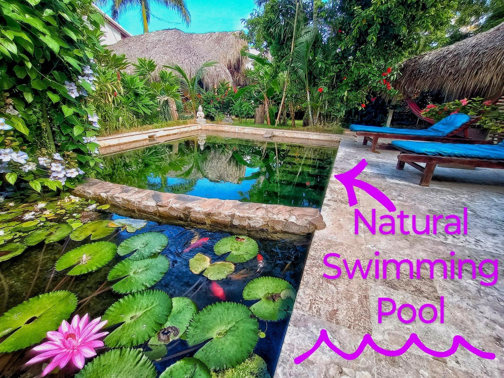 Dream Glamping Jungle Bohio Otel Las Terrenas Dış mekan fotoğraf