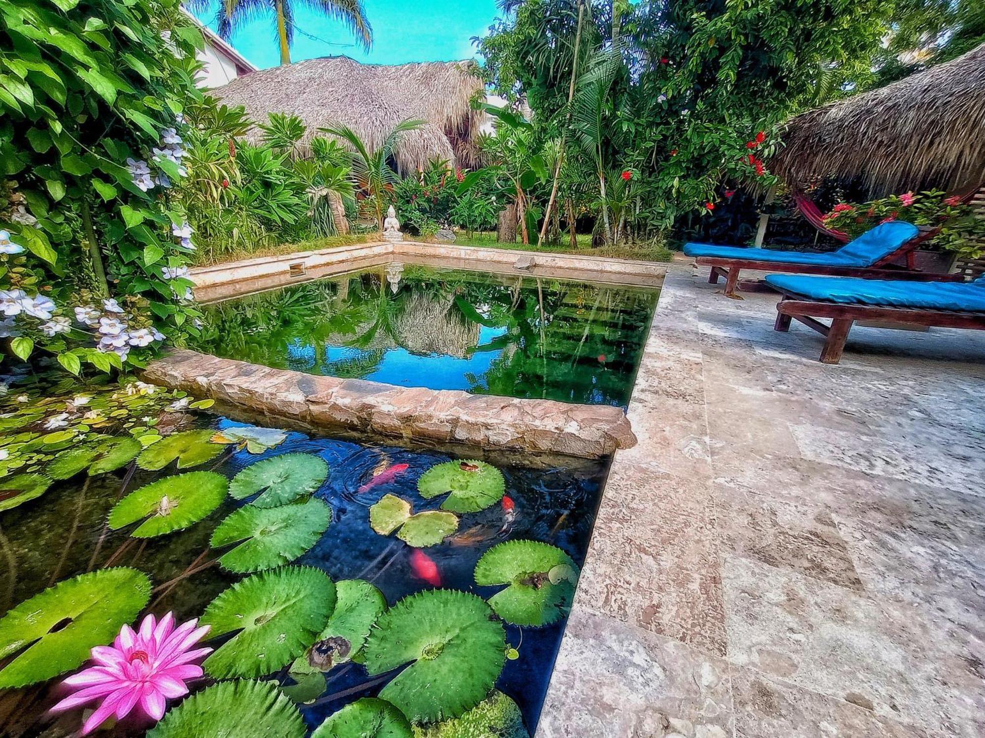 Dream Glamping Jungle Bohio Otel Las Terrenas Dış mekan fotoğraf