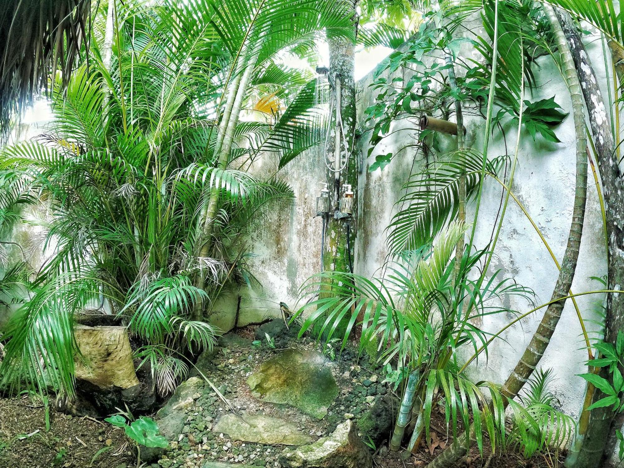 Dream Glamping Jungle Bohio Otel Las Terrenas Dış mekan fotoğraf