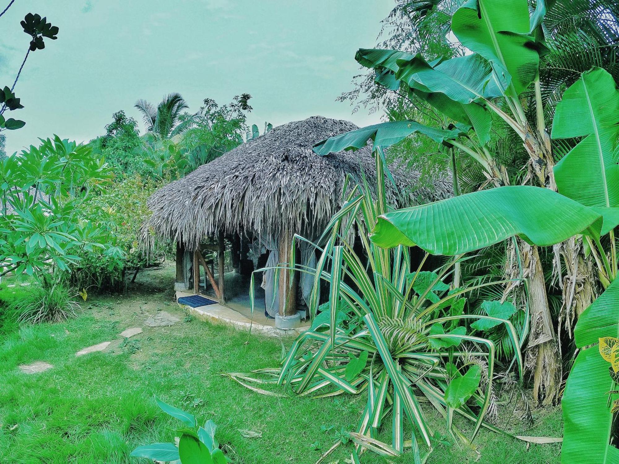 Dream Glamping Jungle Bohio Otel Las Terrenas Dış mekan fotoğraf
