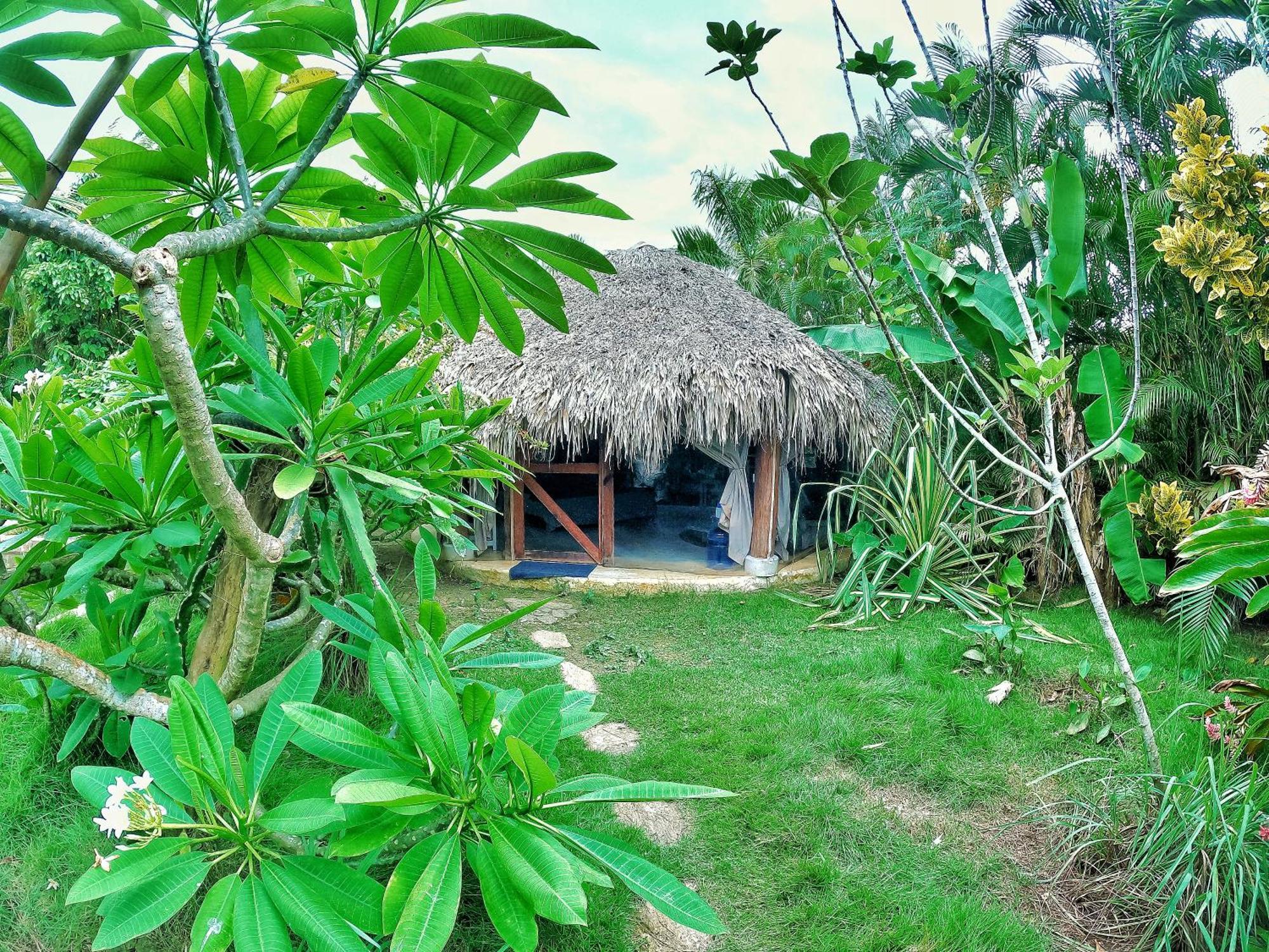 Dream Glamping Jungle Bohio Otel Las Terrenas Dış mekan fotoğraf