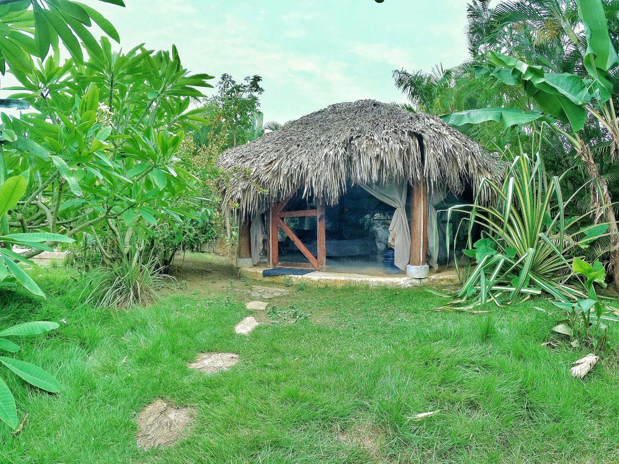 Dream Glamping Jungle Bohio Otel Las Terrenas Dış mekan fotoğraf